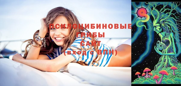 кокс Дмитриев