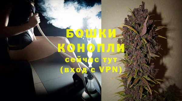 кокс Дмитриев