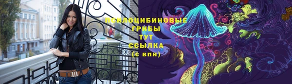 метадон Дмитров