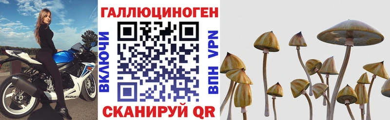 Галлюциногенные грибы Magic Shrooms  Одинцово 